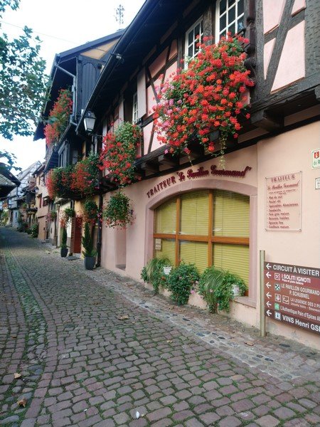 C'est encore bien fleuri.