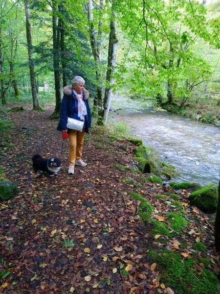 En forêt de KRUTH.