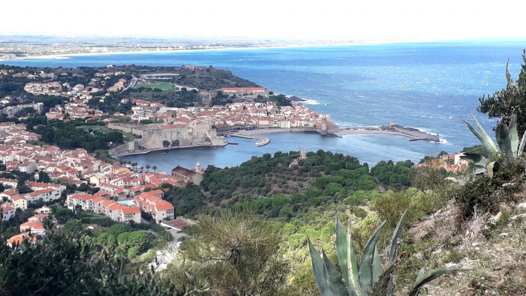 Collioure vu depuis Saint Elme