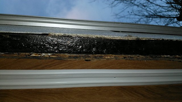 IMG_20201111_171105.jpg
