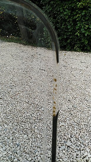 IMG_20201111_131153.jpg