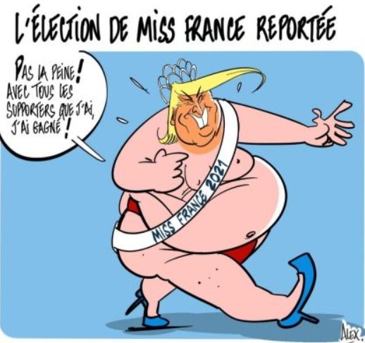 Trump Miss  France.jpg