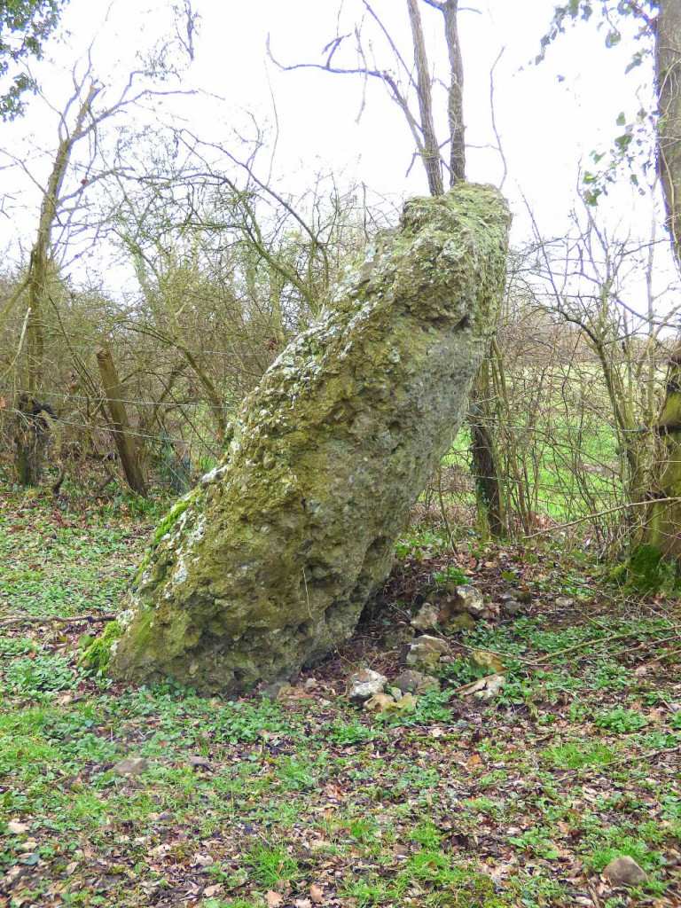 Glos la Ferrière menhir.jpg