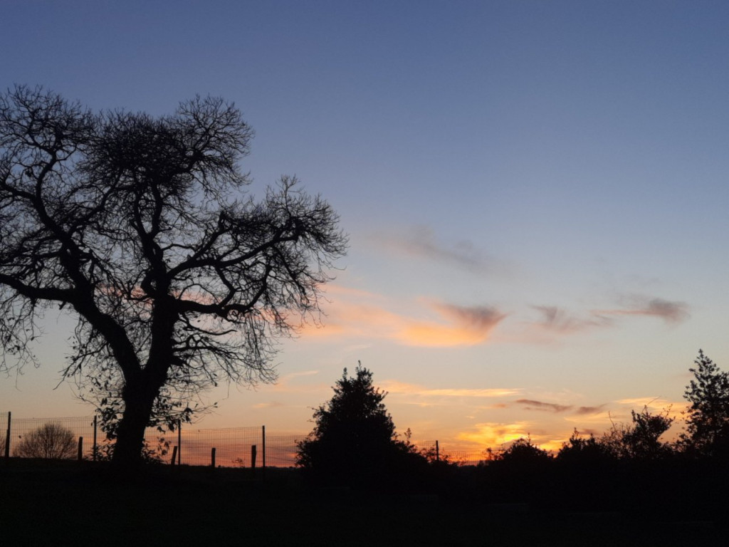 20201128_171234.jpg