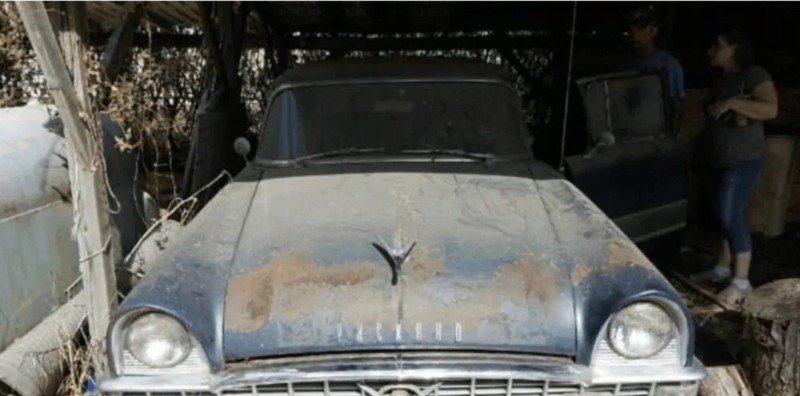 Packard Patrician  1955.jpg