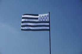 téléchargement (2).jpg