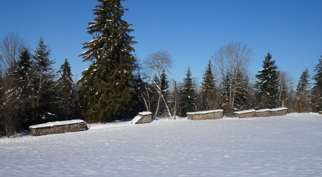 DSC02133 (2).JPG