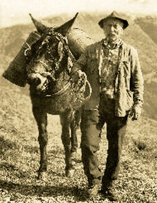 Chatillon Diois vin.jpg