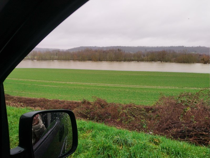 DSC_0590 (Copier).JPG