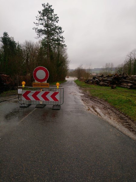 DSC_0595 (Copier).JPG