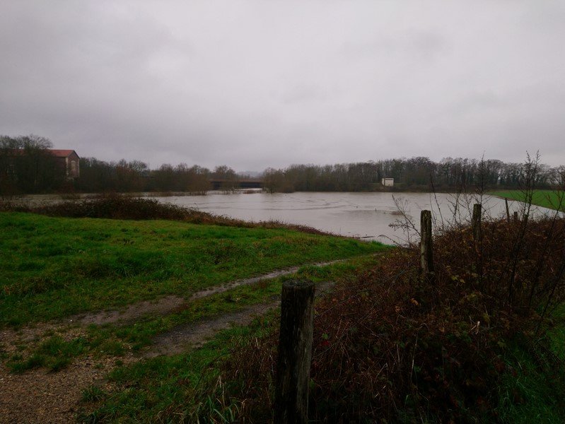 DSC_0598 (Copier).JPG