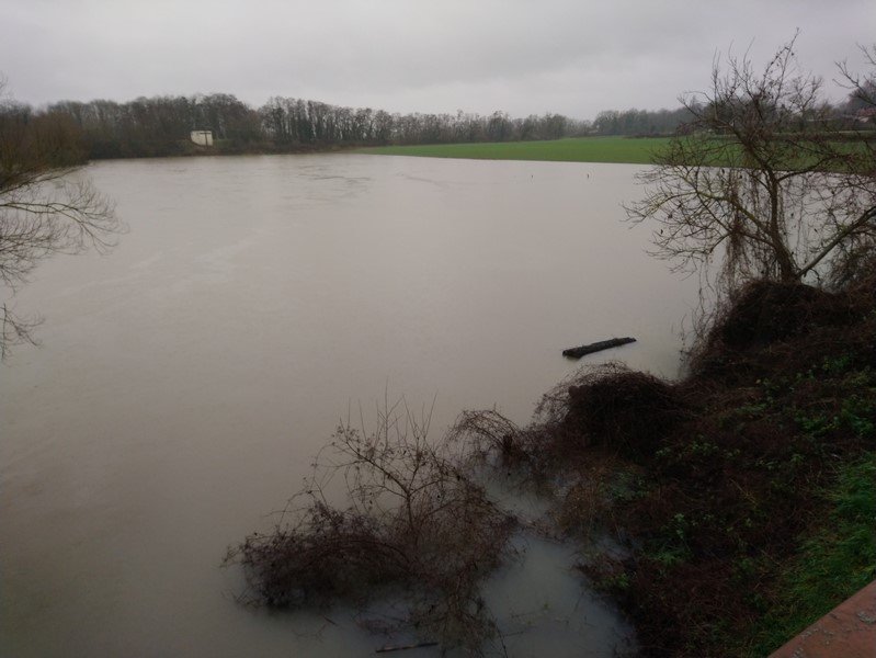 DSC_0603 (Copier).JPG