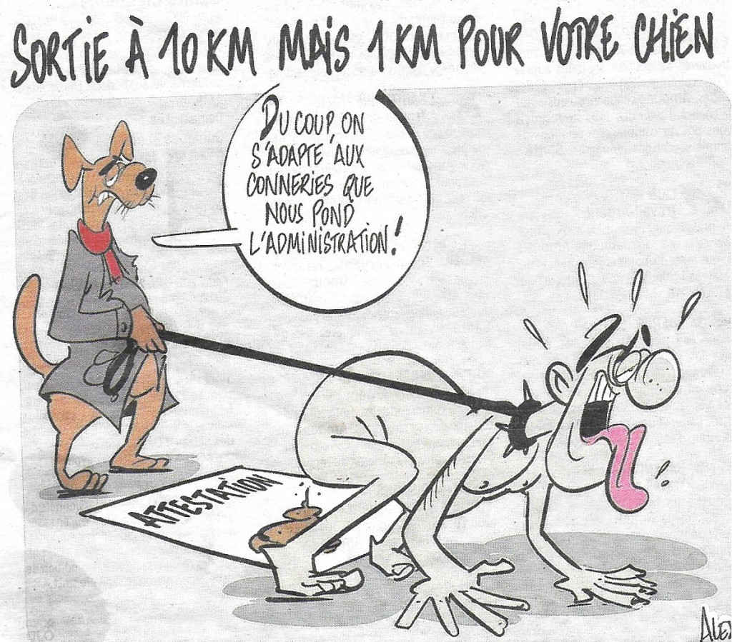 Sortie chien.jpg