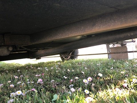 IMG_1492.jpg