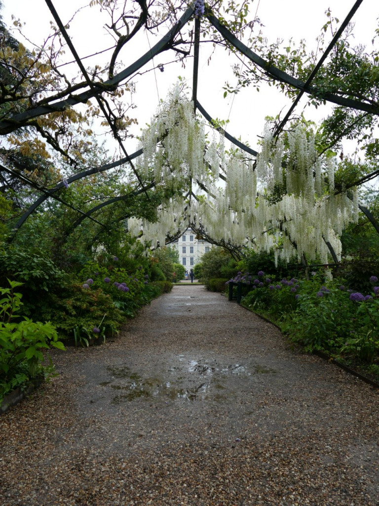 jardin du chateau de Cheverny