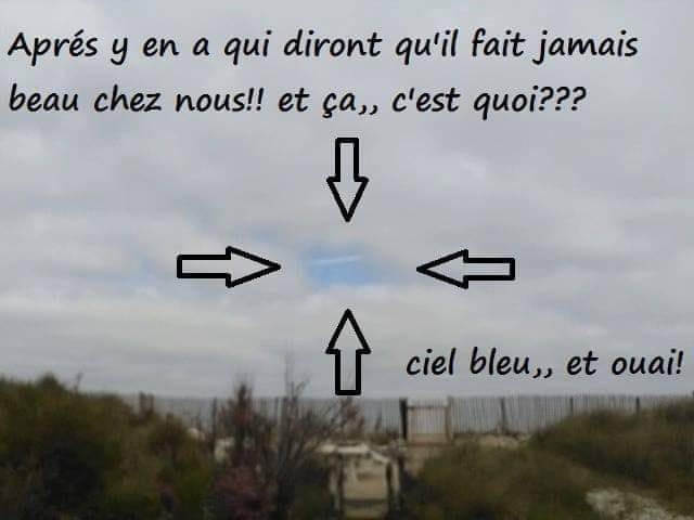 22810_n.jpg