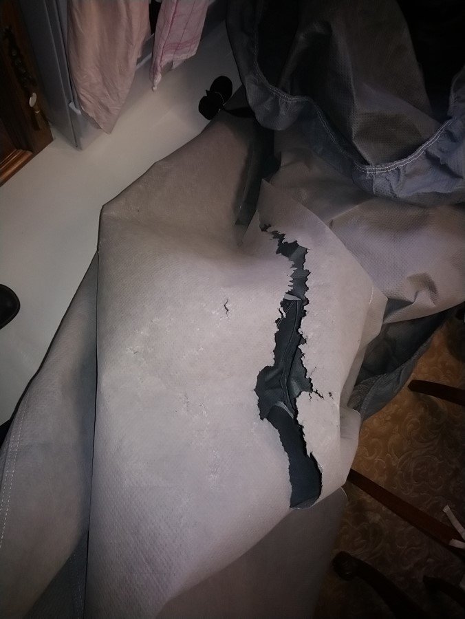 DSC_0382 (Copier).JPG