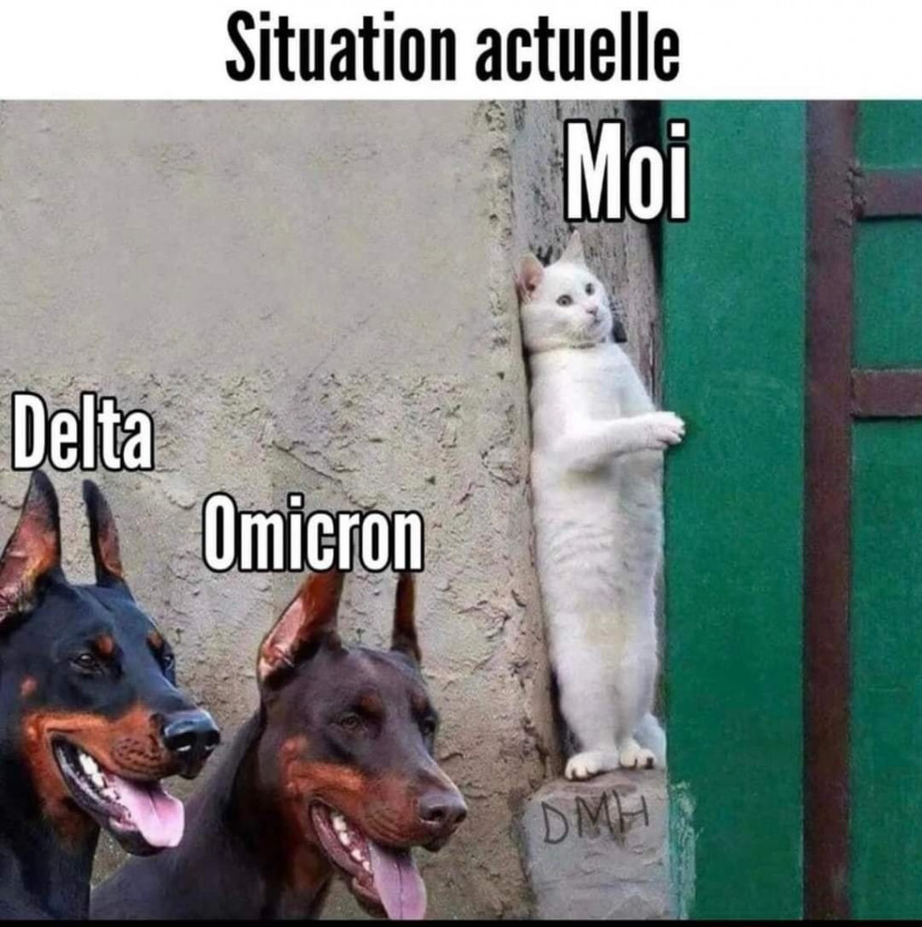 82475_n.jpg