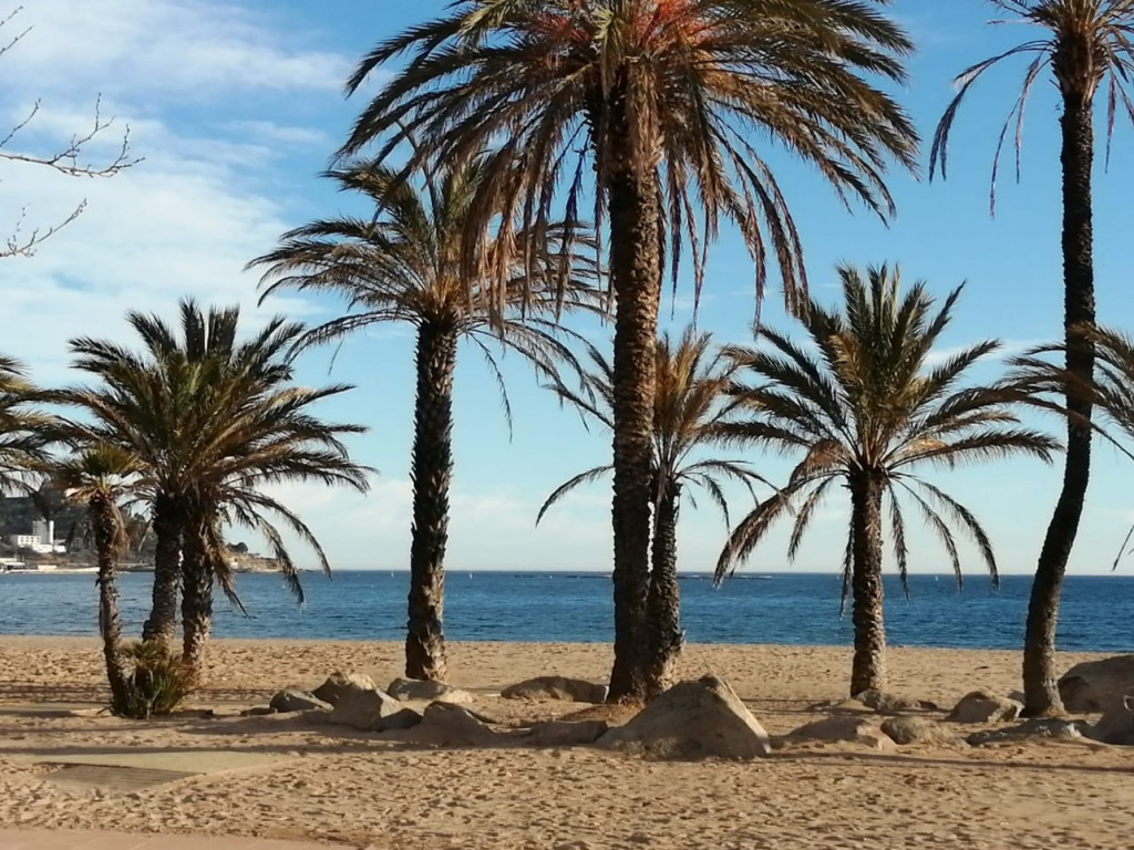 IMG-20220217-WA0000.jpg (306.18 Kio) Vu 8404 fois Playa Roses magnifique et reposant