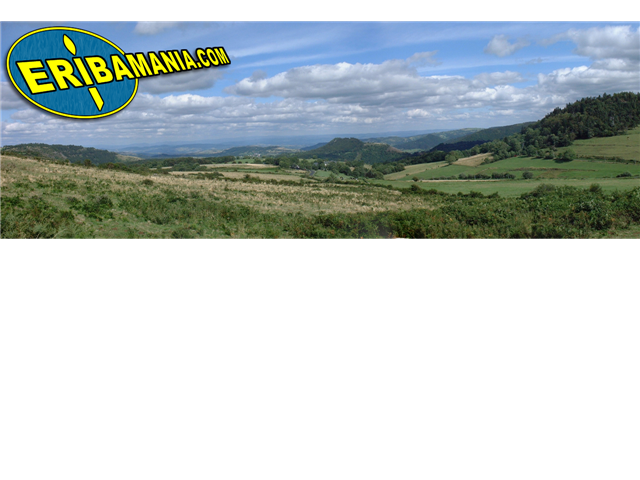 eribamania (Small).png