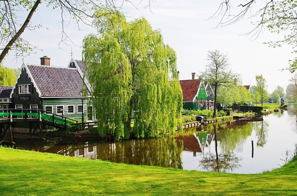zaanse-schans2.jpg (311.96 Kio) Vu 10254 fois ZAANSE SCHANS