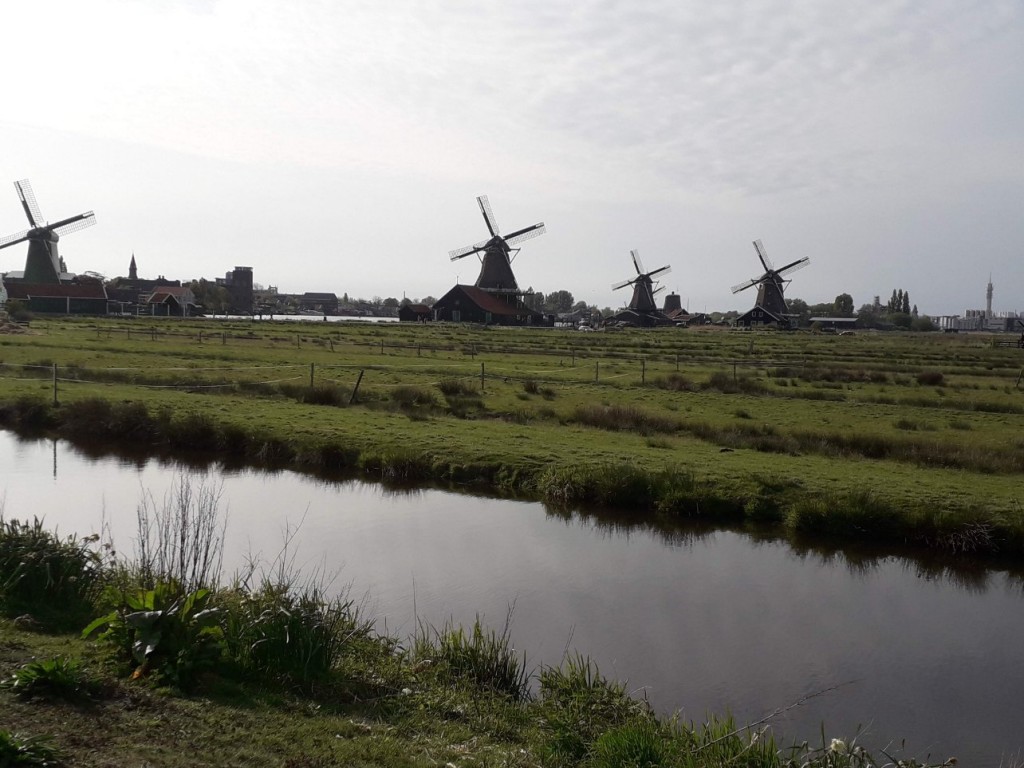 Zaanse Schans.jpg (221.96 Kio) Vu 10253 fois ZAANSE SCHANS