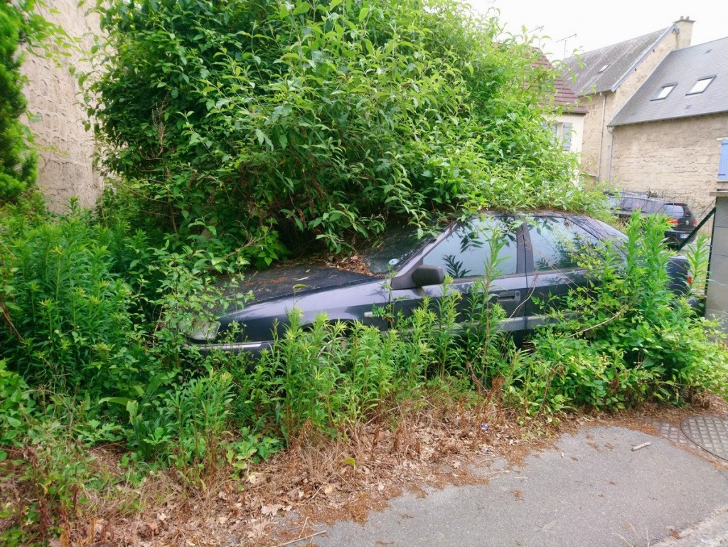 DSC_0258 (1) (Copier).JPG