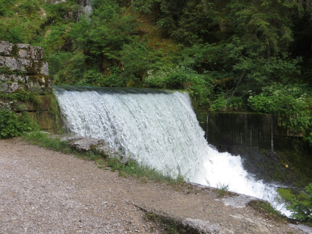 IMG_1546.JPG