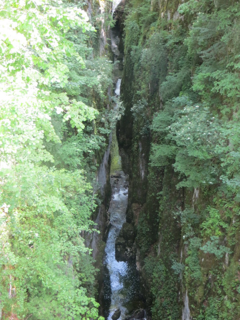 IMG_1606.JPG