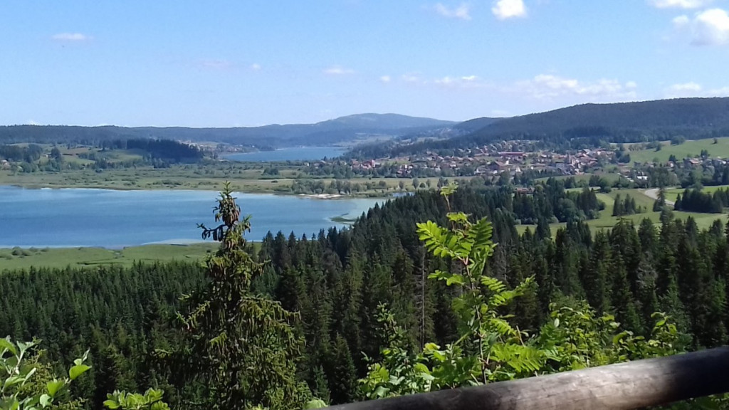 20220610_111406[1].jpg