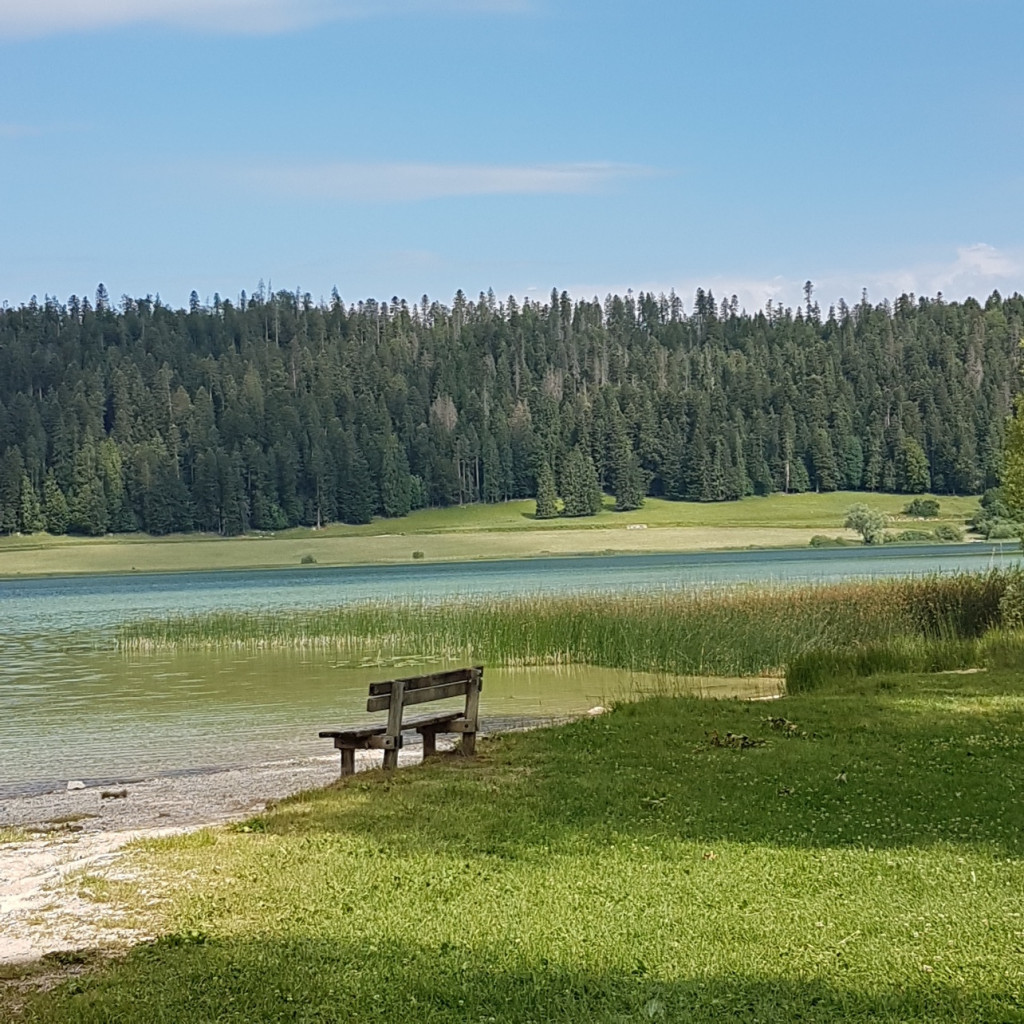 Le banc solitaire