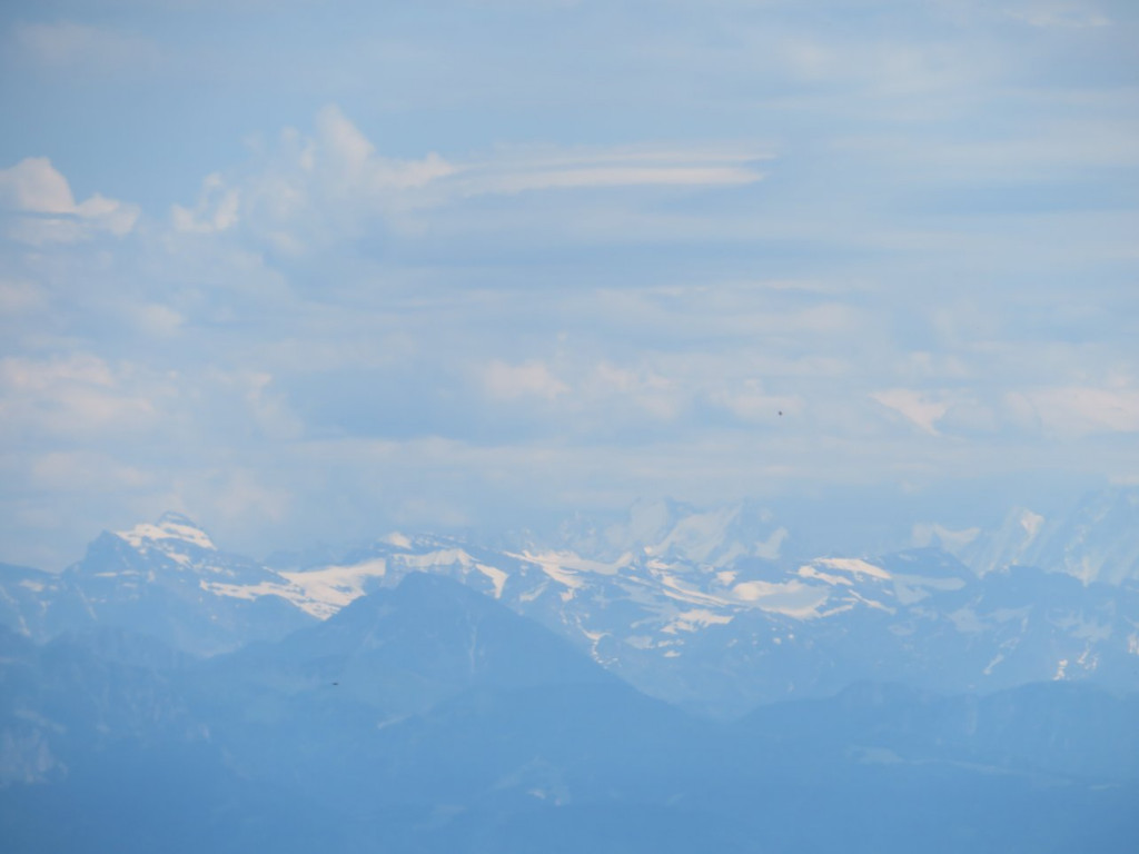 IMG_4969.JPG