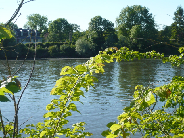 P1020255.JPG