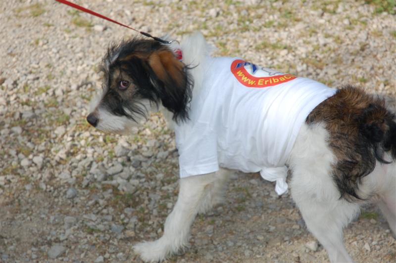 DSC_9903 (Medium).JPG