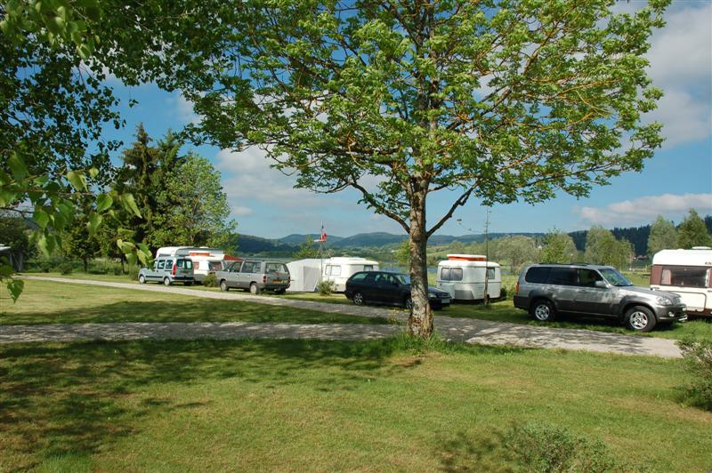 DSC_9911 (Medium).JPG