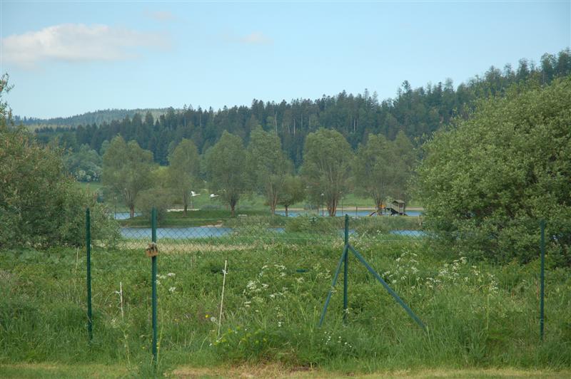 DSC_9919 (Medium).JPG