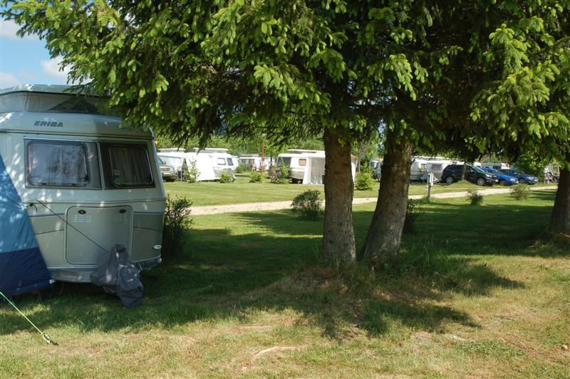 DSC_9943 (Medium).JPG