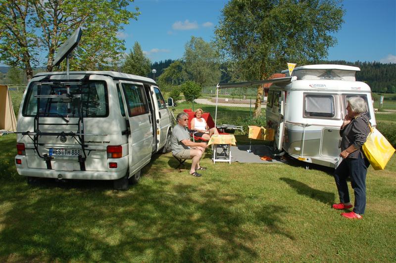 DSC_9913 (Medium).JPG