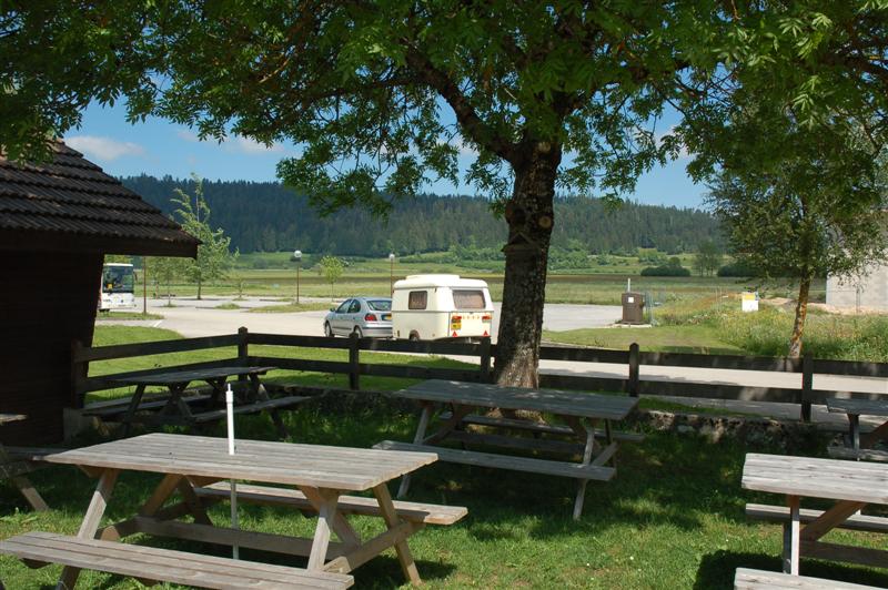 DSC_9955 (Medium).JPG