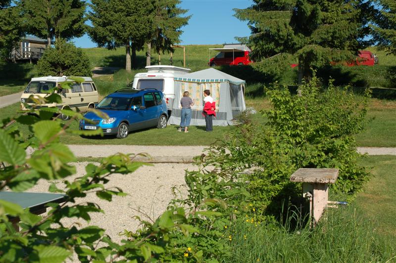 DSC_9979 (Medium).JPG