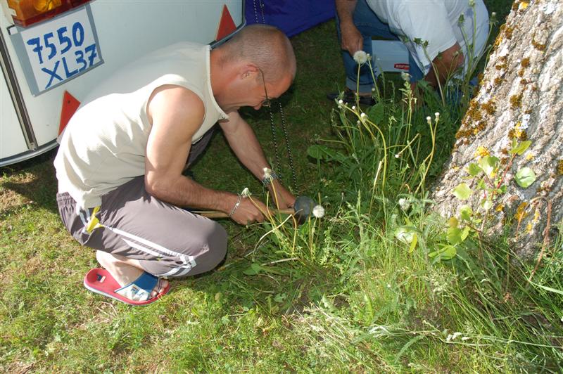 DSC_9984 (Medium).JPG