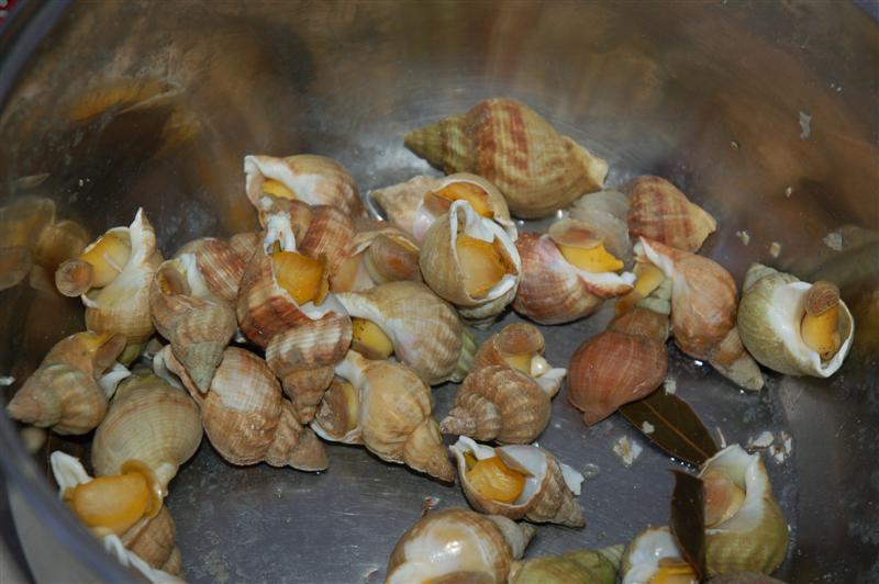 DSC_9994 (Medium).JPG