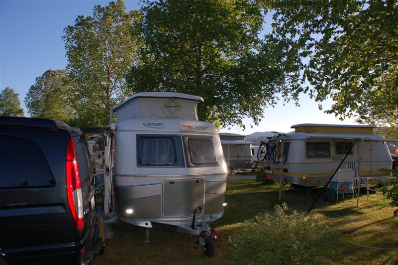 DSC_9988 (Medium).JPG