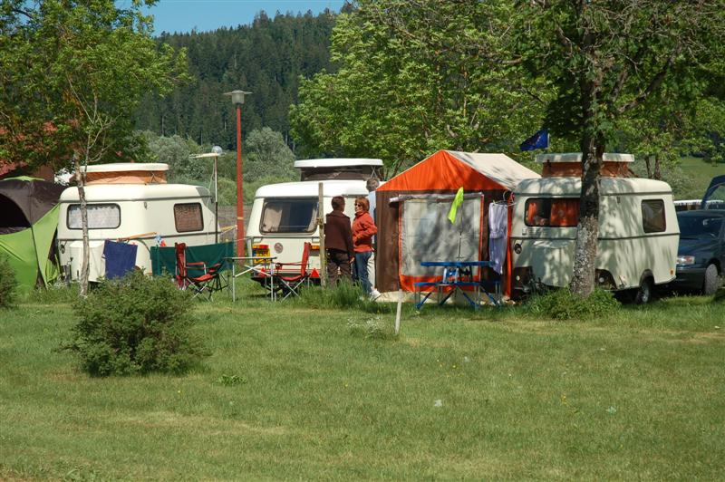 DSC_0007 (Medium) (2).JPG