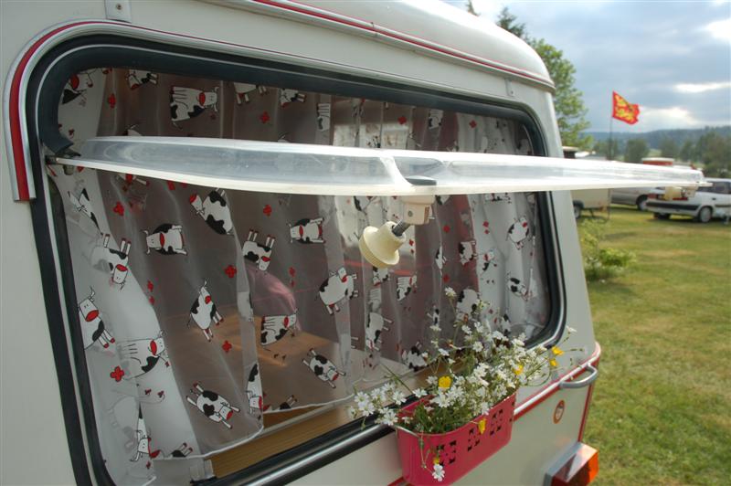 DSC_0033 (Medium) (2).JPG