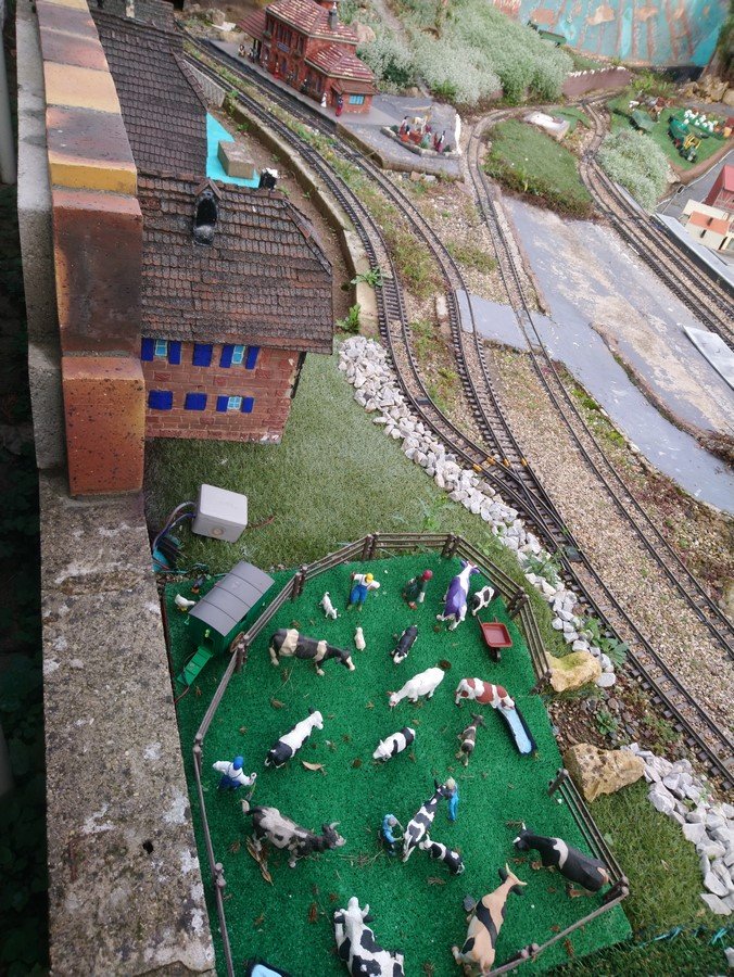 DSC_0485 (Copier).JPG