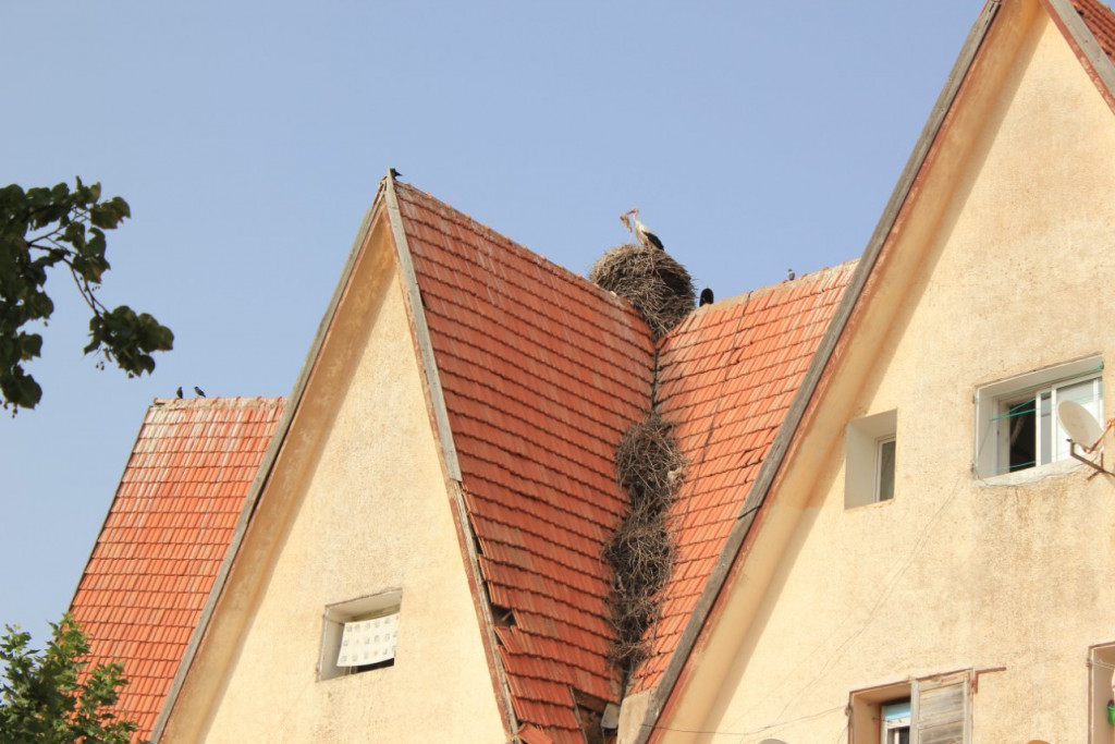 IFRANE