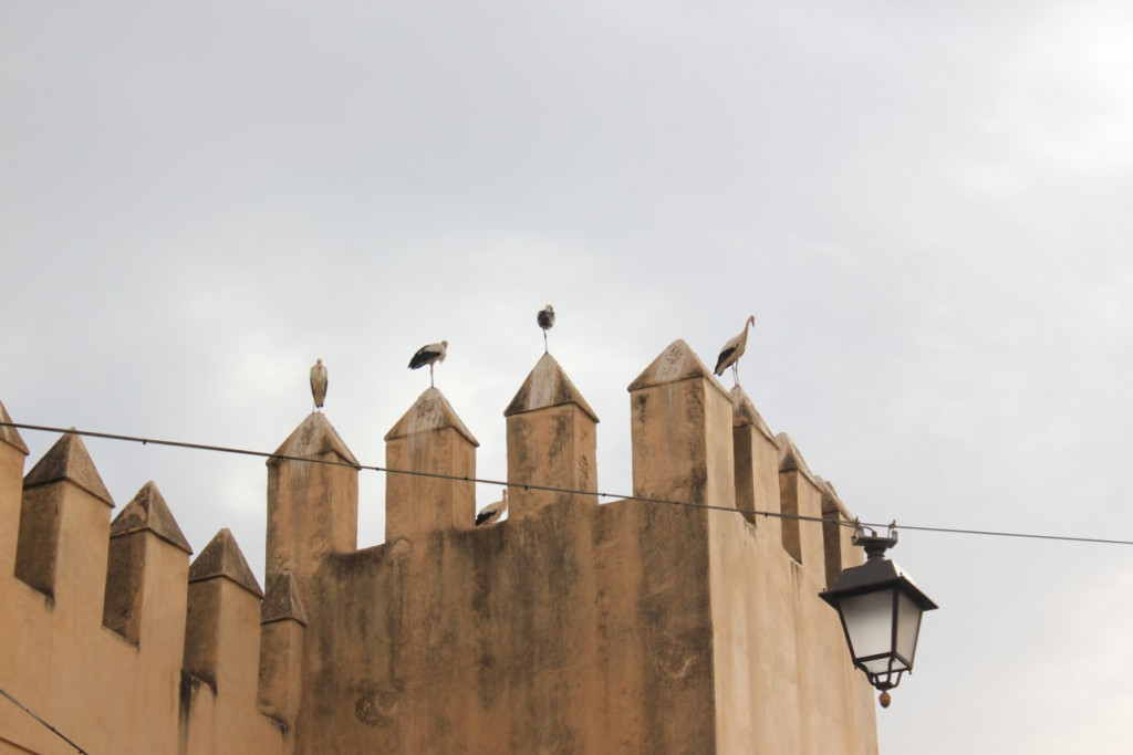 Fes