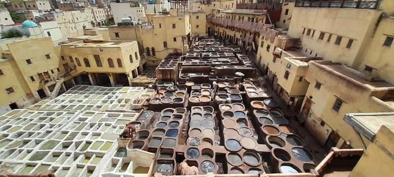 Fes - Tannerie