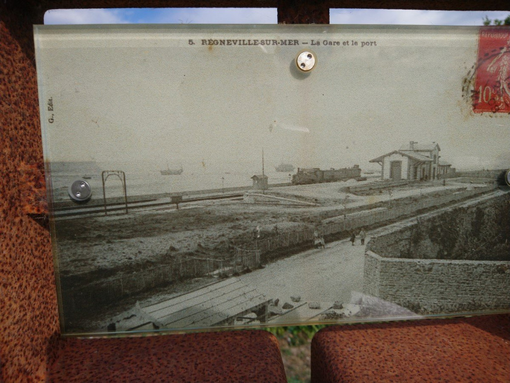 DSC_0313 (Copier).JPG